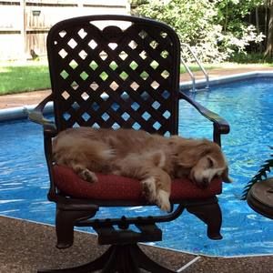 Meet your Posher, Anita